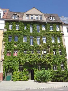 Foto - Gemütliche 3-Raumwohnung in der südlichen Innenstadt EBK