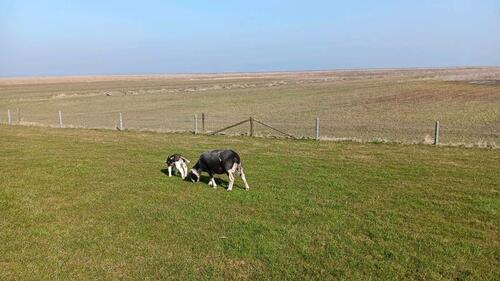 Foto - andere in Brey