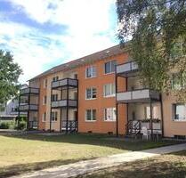 Wohnen in Schildesche - gemütliche 3-Zimmer Wohnung in ruhiger Lage - Bielefeld