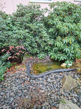 Foto - Schöne Wohnung in ruhiger Lage Nagold - PROVISIONSFREI -