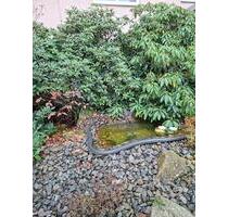 Schöne Wohnung in ruhiger Lage Nagold - PROVISIONSFREI -