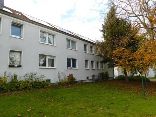 Foto - 3 Zimmer Erdgeschoßwohnung zur Miete in Witten