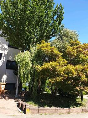 Foto - Erdgeschoßwohnung in Calw zum Kaufen