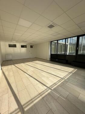 Foto - andere in Paderborn