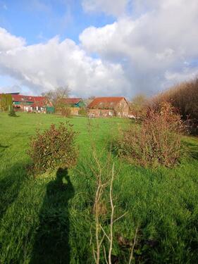 Foto - 5 Zimmer Einfamilienhaus zur Miete in Sandesneben