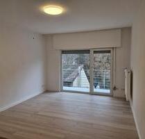 Sanierte 3ZKBB in Heidelberg-Ziegelhausen zu vermieten