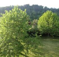 4-Zimmerwohnung mit Ausblick in Wertheim- Waldenhausen