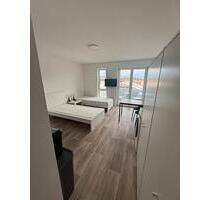 Wohnung zu vermieten - 550,00&nbsp;EUR Kaltmiete, ca.&nbsp; 23,00&nbsp;m&sup2; in Ludwigshafen am Rhein (PLZ: 67069) Edigheim