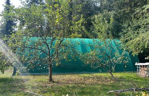 Foto - andere zur Miete in Großrosseln