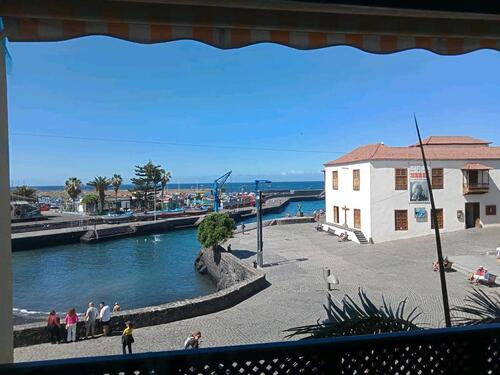 Foto - Ferienwohnung Appartement Studio in Puerto de la Cruz