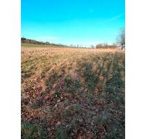 Wiesengrundstück - 170,00&nbsp;EUR Kaltmiete, ca.&nbsp; 0,00&nbsp;m&sup2; in Hermeskeil (PLZ: 54411)