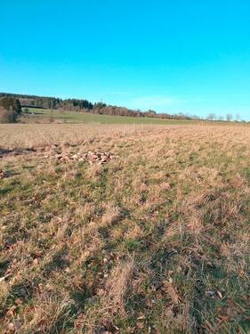 Foto - Grundst&uuml;ck in Hermeskeil zur Miete