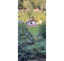 Ferienhaus zum Verkauf - 260.000,00&nbsp;EUR Kaufpreis, ca.&nbsp; 90,00&nbsp;m&sup2; in Trierweiler (PLZ: 54311)