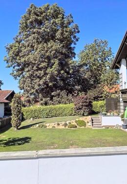 Foto - Einfamilienhaus zum Kaufen in Schönau