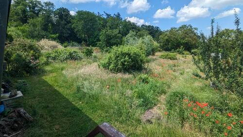 Foto - Einfamilienhaus in Berlin zur Miete