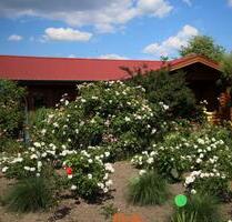 Landhaus 492 qm - 750.000,00&nbsp;EUR Kaufpreis, ca.&nbsp; 492,00&nbsp;m&sup2; in Arendsee (Altmark) (PLZ: 39619)