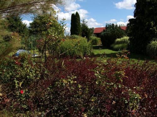 Foto - 16 Zimmer Einfamilienhaus zum Kaufen in Arendsee (Altmark)