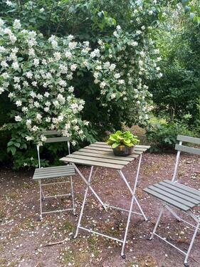 Foto - andere in Jördenstorf zur Miete