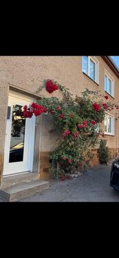 Foto - Von Privat - Doppelhaushälfte 4 km zur Ostsee