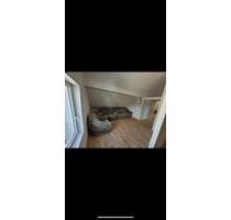 Wohnung zu vermieten - 550,00 EUR Kaltmiete, in Homburg (PLZ: 66424)