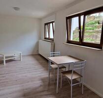 Einliegerwohnung Pendlerwohnung - Neckartenzlingen