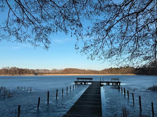Foto - 1 Zimmer Bungalow zum Kaufen in Lalendorf