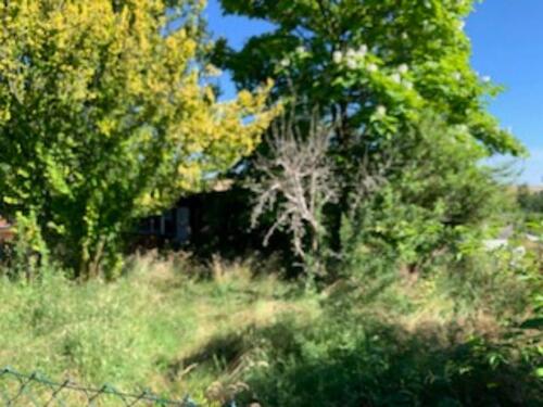 Foto - Gartengrundstücke in Greiz OT Cossengrün (Thüringen) - Bieterverfahren