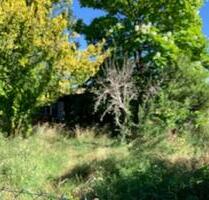 Gartengrundstücke in Greiz OT Cossengrün (Thüringen) - Bieterverfahren