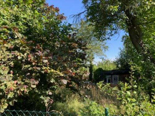 Foto - Grundst&uuml;ck zur Miete in Greiz