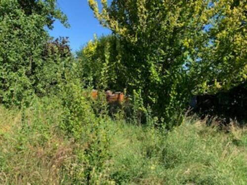 Foto - Grundst&uuml;ck in Greiz