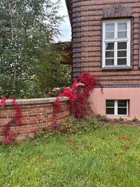 Foto - 2 Zimmer Etagenwohnung zur Miete in Guben