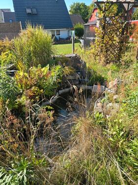 Foto - Grundst&uuml;ck in Frankfurt (Oder) zur Miete