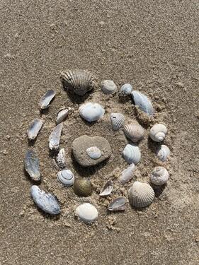 Foto - Ferienhaus im Alten Land an der Elbe