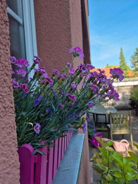 Foto - 7 Zimmer Einfamilienhaus in Neustadt am Rübenberge