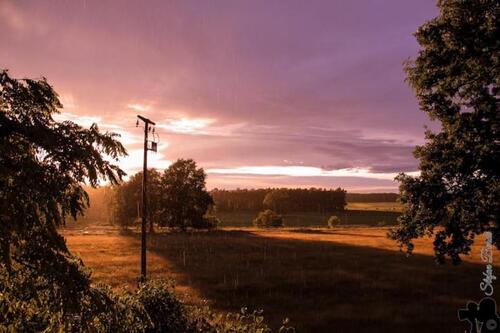 Foto - andere zur Miete in Milower Land