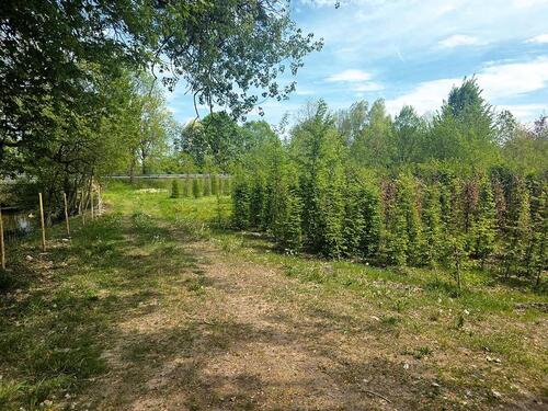 Foto - Landwirtschaftsfläche - 2.500,00&nbsp;EUR Kaltmiete, ca.&nbsp; 0,00&nbsp;m&sup2;
