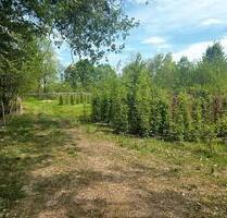 Landwirtschaftsfläche - 2.500,00 EUR Kaltmiete, ca. 0,00 m² in Schechen (PLZ: 83135) Landwirtschaftsfläche - 2.500,00 EUR Kaltmiete, ca. 0,00 m² in Schechen (PLZ: 83135)