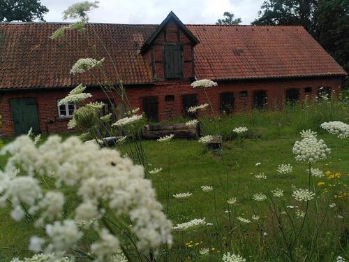 Foto - 3 Zimmer Bauernhaus, Landhaus zum Kaufen in Scharnebeck