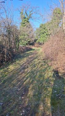 Foto - Freizeitgrundstück Garten - 74,00 EUR Kaltmiete, ca.  0,00 m²