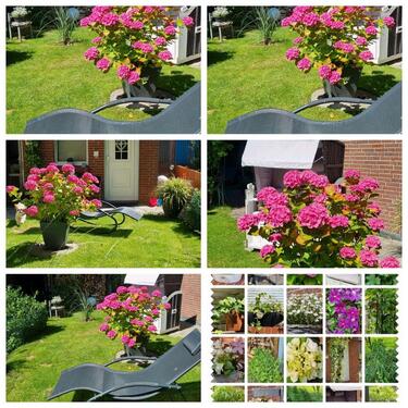 Foto - Ferienwohnung Möwennest Nordsee Küste Wangerland Friesland