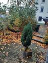 Foto - Etagenwohnung in Flensburg zur Miete