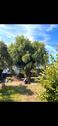 Foto - 5 Zimmer Einfamilienhaus in Hohenroda