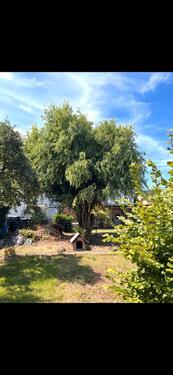 Foto - 5 Zimmer Einfamilienhaus in Hohenroda