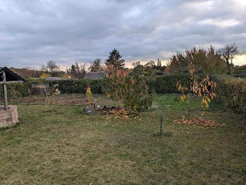 Foto - Grundstück in Gerbstedt zur Miete