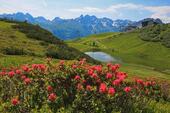 Foto - OBERSTDORF - AUSZEIT - URLAUB - ENTSPANNUNG