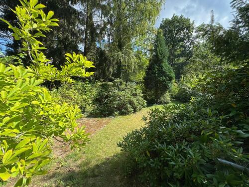 Foto - Grundstück in Dresden