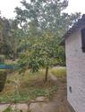 Foto - Einfamilienhaus in Goslar zum Kaufen