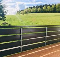 1,5 Zimmer Wohnung mit großem Balkon u. Stellplatz - Herrischried