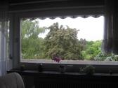 Foto - 3 Zimmer Etagenwohnung zum Kaufen in Hannover