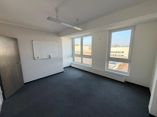 Foto - andere in Münster